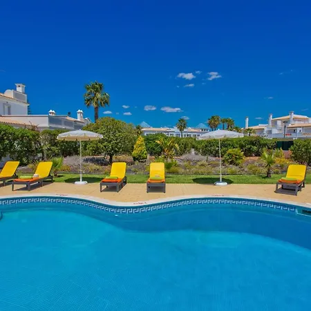 Gale Palm By Willa *