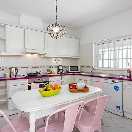 Gale Palm By Willa Albufeira