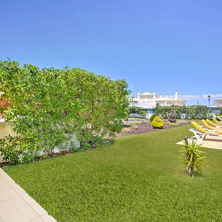 Gale Palm By Willa *