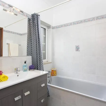 Gale Palm By Αλμπουφέιρα