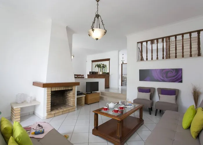 Gale Palm By אלבופיירה