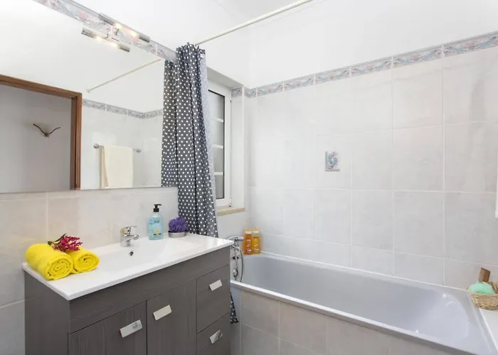 Gale Palm By אלבופיירה