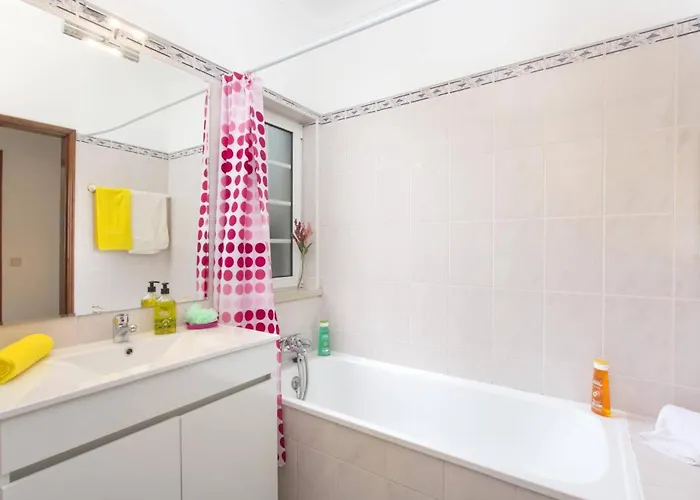 Gale Palm By אלבופיירה